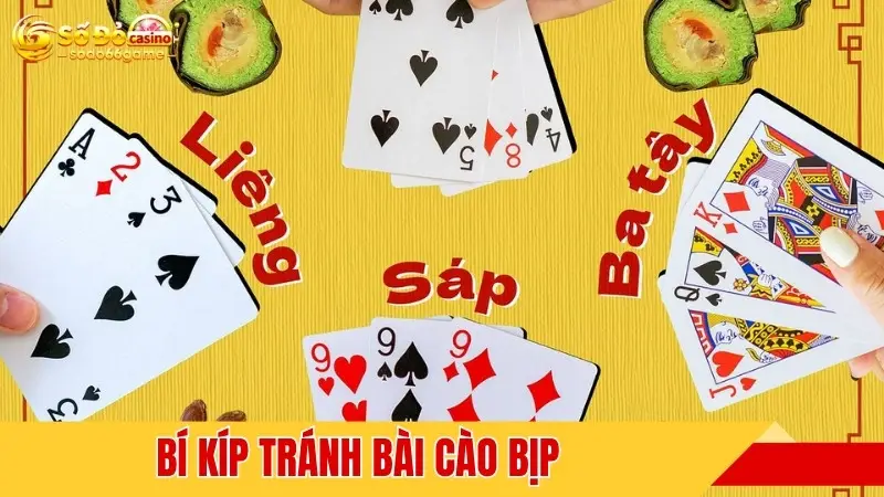 Bí kíp tránh bài cào bịp