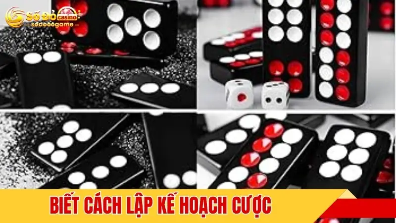 Biết cách lập kế hoạch cược