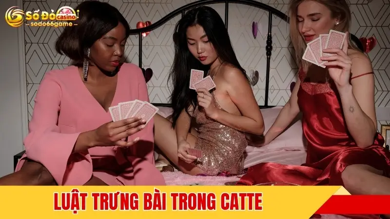 Luật trưng bài trong catte