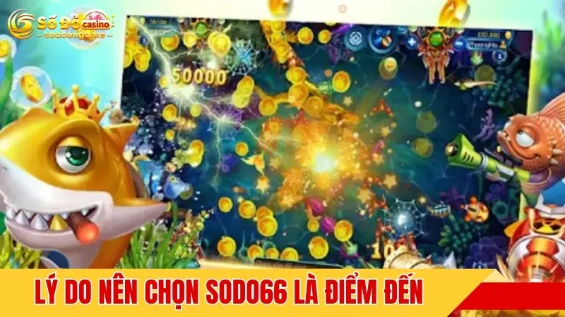 Lý do nên chọn SODO66 là điểm đến