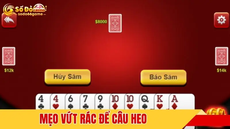 Mẹo vứt rác để câu heo