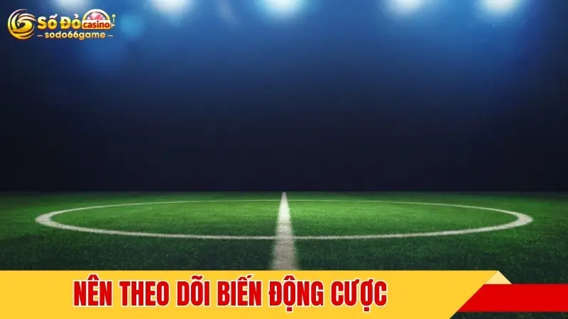 Nên theo dõi biến động cược