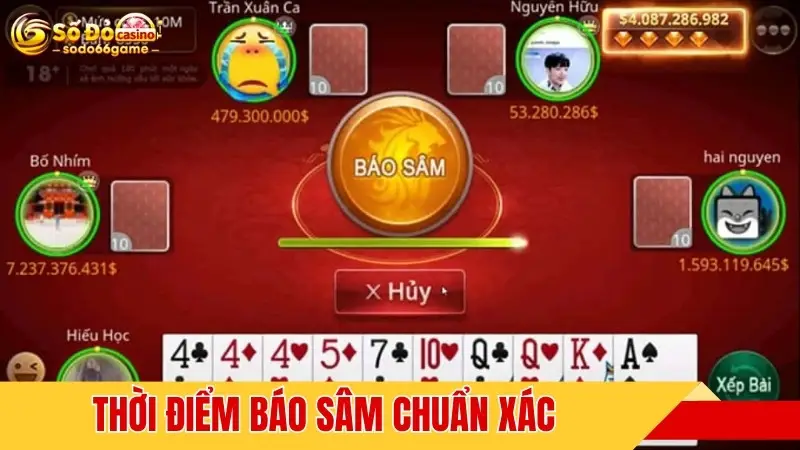 Thời điểm báo Sâm chuẩn xác