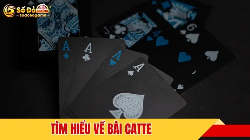 Tìm hiểu về bài catte